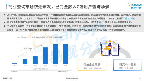 中国商业查询市场分析2021